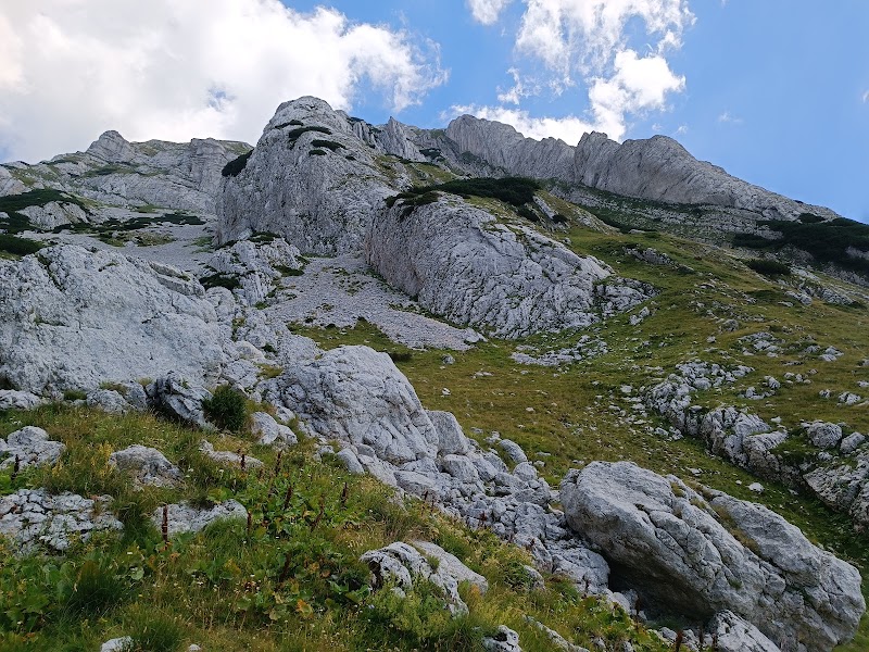 Prutaš