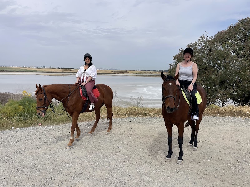 Salt Lake Stables