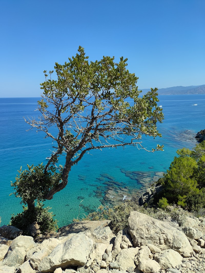 Aphrodite Nature Trail