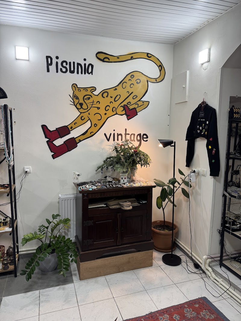 Pisunia Vintage and more Tbilisi store