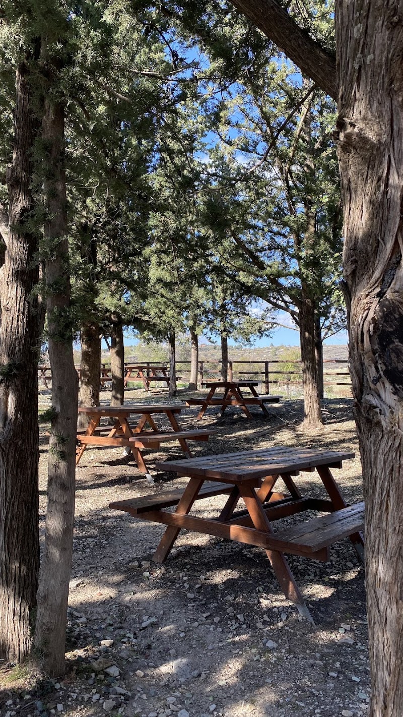 My favourite picnic sites in Cyprus