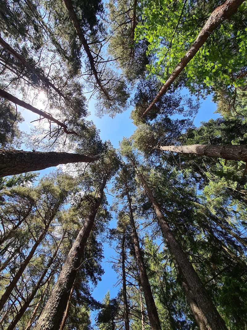 Stepanavan Dendropark