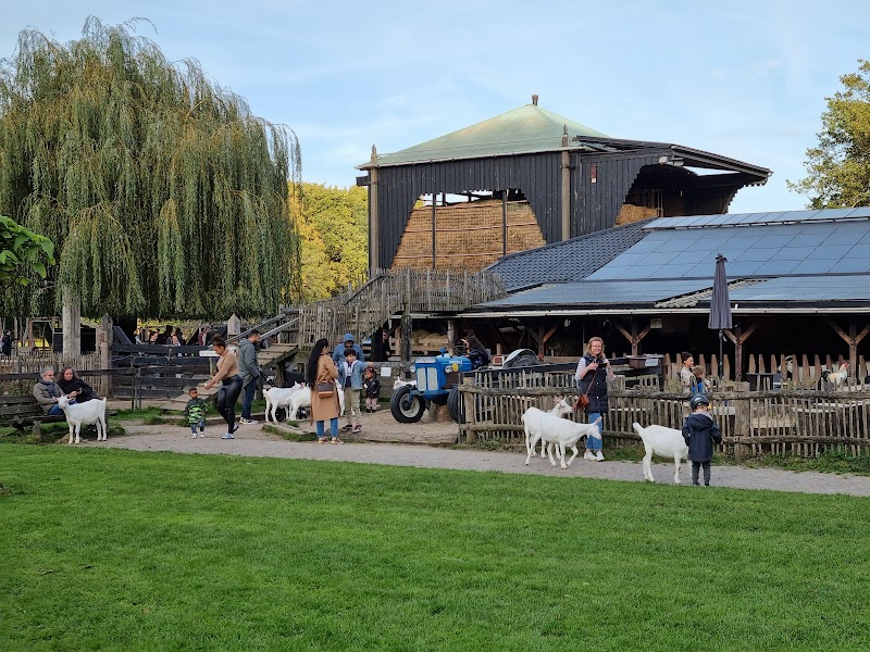 Restaurants, brunch cafés and non-touristy places in Amsterdam