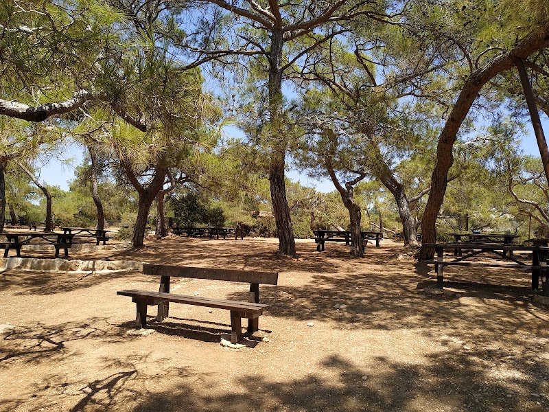 Picnic site in Peyia
