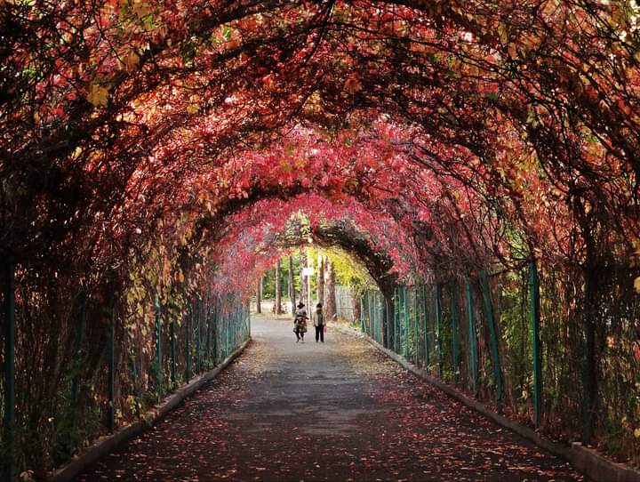 Yerevan Botanical Garden